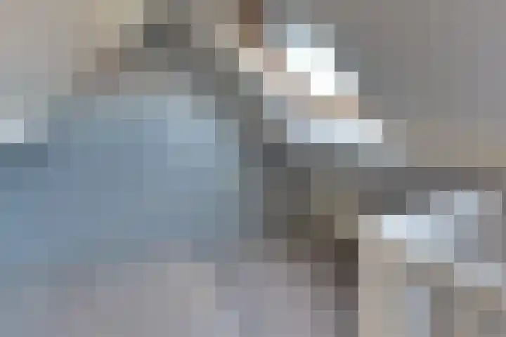 Molenstraat 6 Harderwijk thumbnail 34