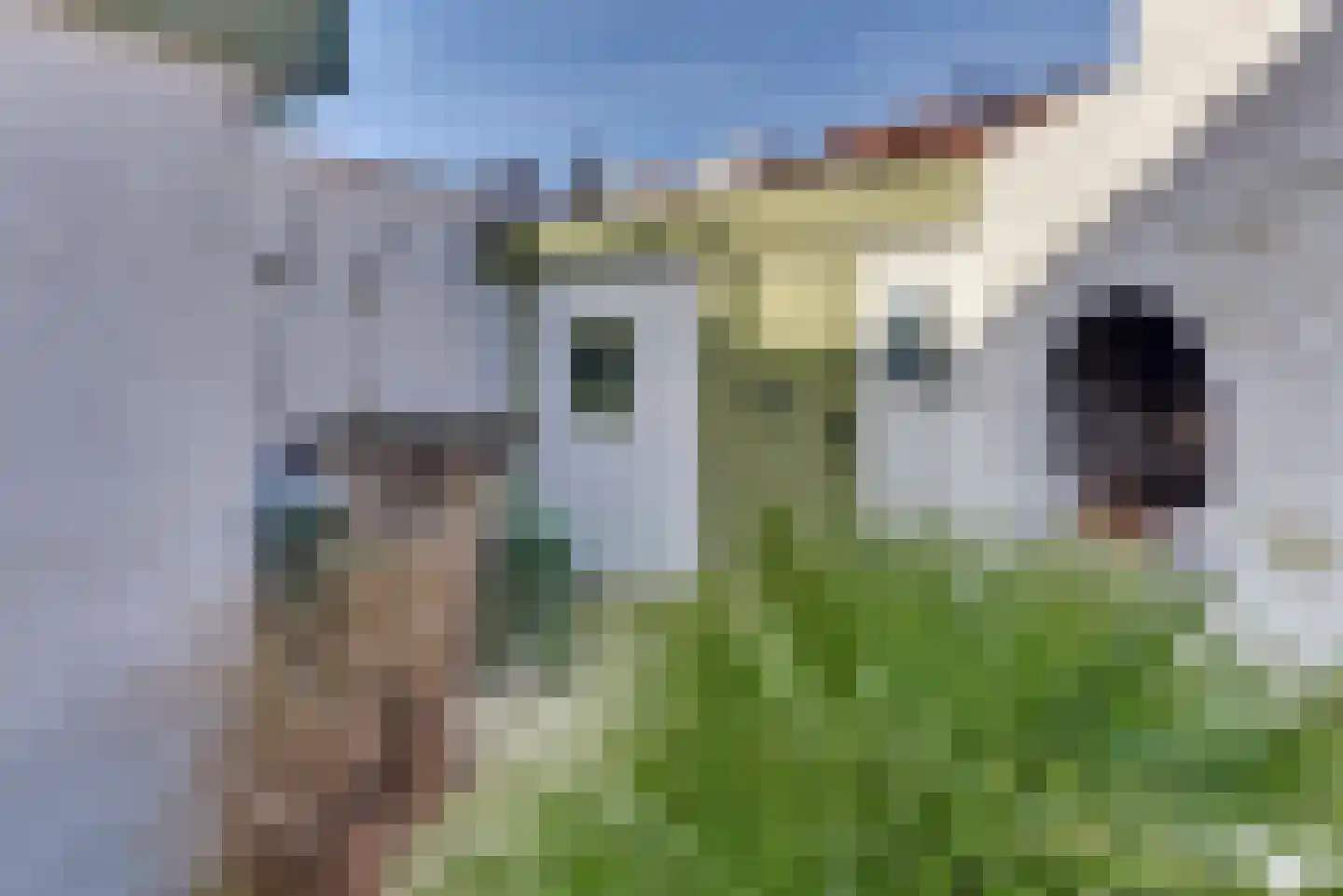 Molenstraat 6 Harderwijk thumbnail 37