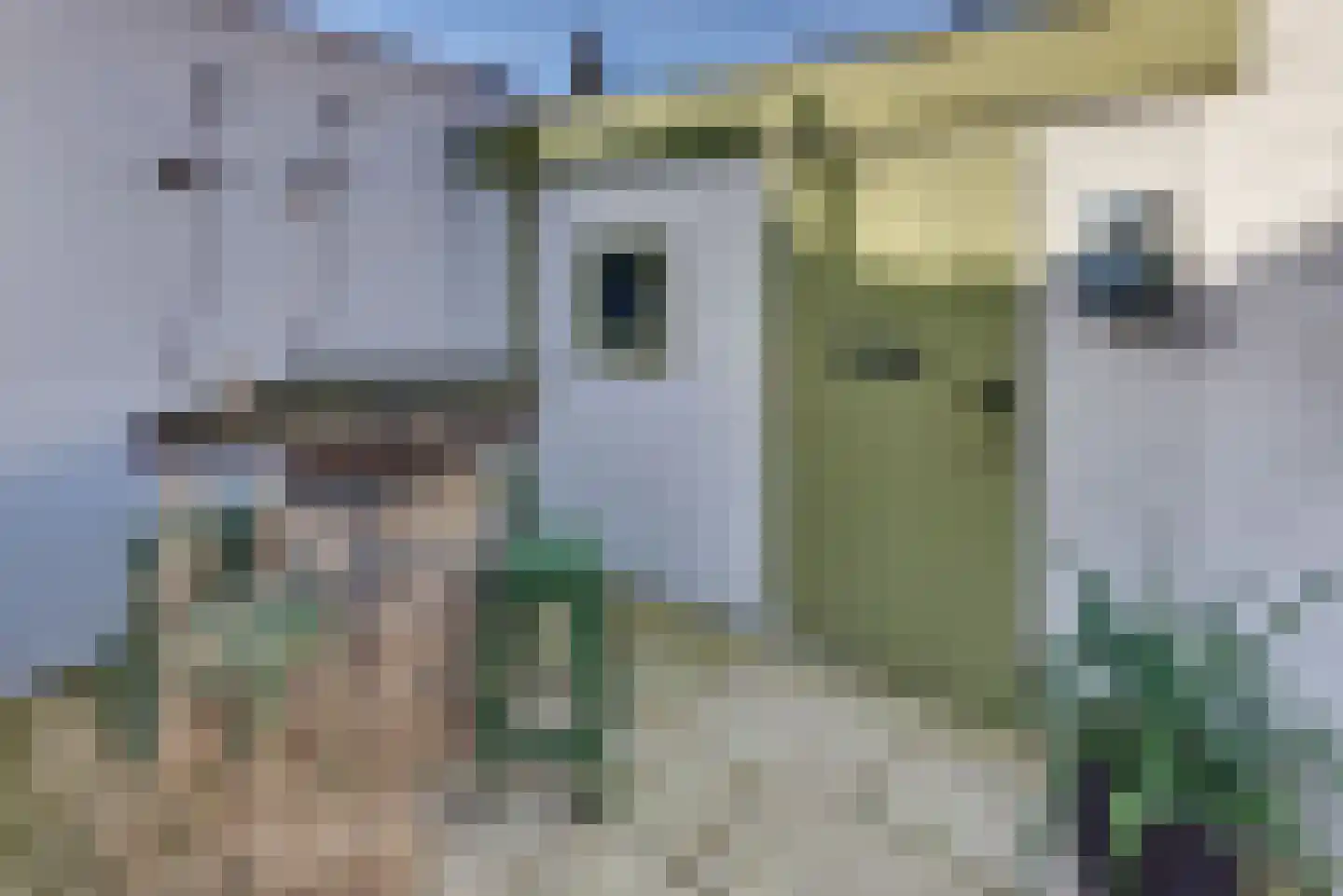 Molenstraat 6 Harderwijk thumbnail 39