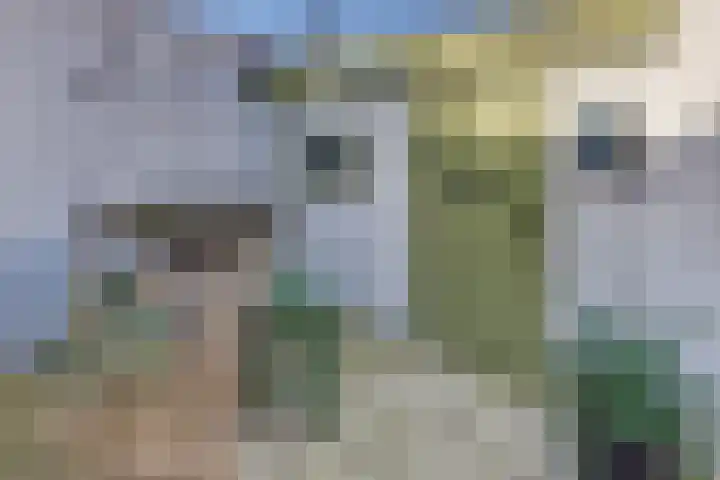 Molenstraat 6 Harderwijk thumbnail 39