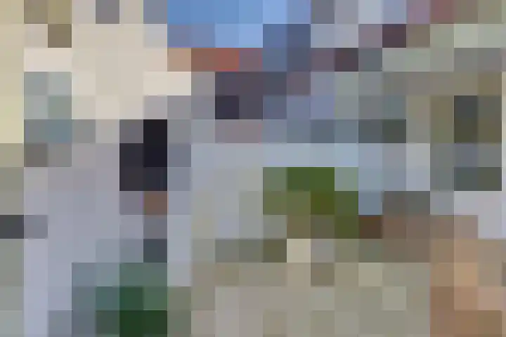 Molenstraat 6 Harderwijk thumbnail 4