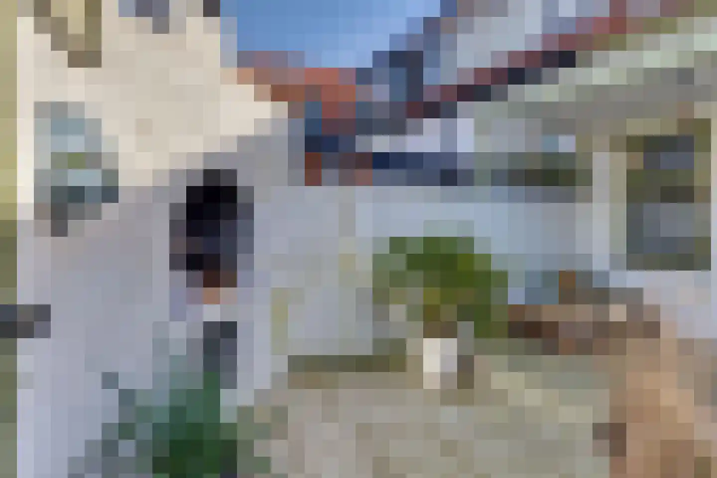 Molenstraat 6 Harderwijk thumbnail 4