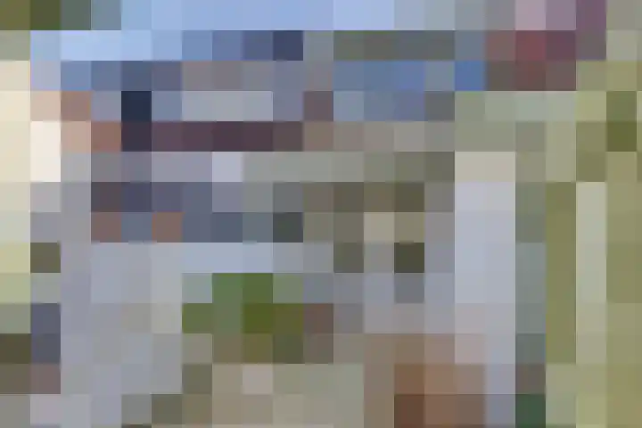 Molenstraat 6 Harderwijk thumbnail 41