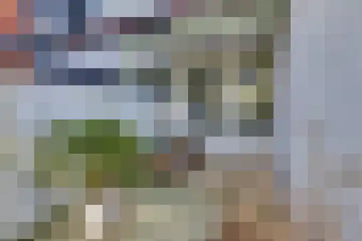 Molenstraat 6 Harderwijk thumbnail 42