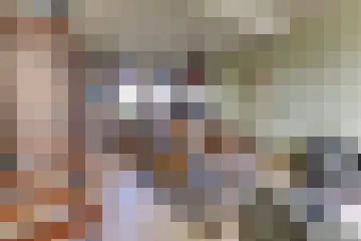 Molenstraat 6 Harderwijk thumbnail 8