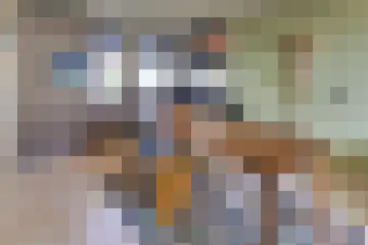Molenstraat 6 Harderwijk thumbnail 9
