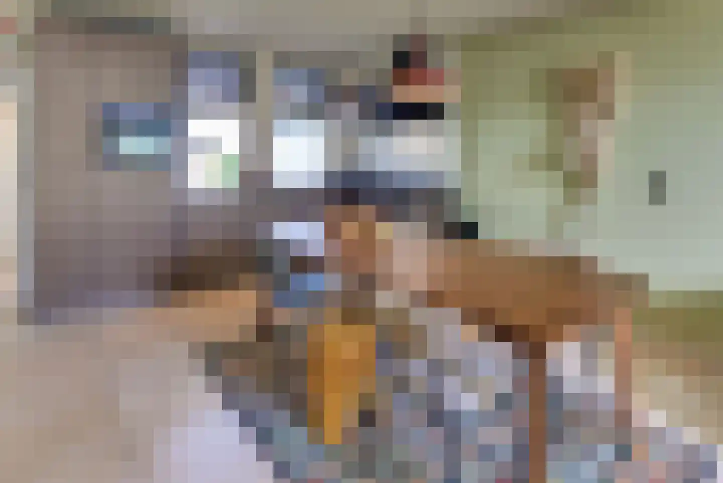 Molenstraat 6 Harderwijk thumbnail 9