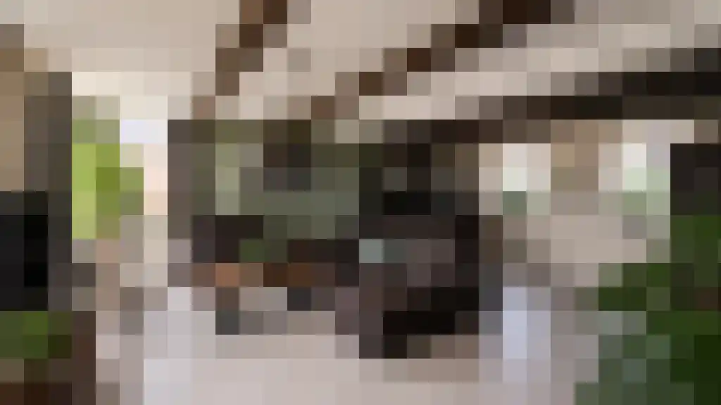 Molenstraat 6 Kinderdijk thumbnail 5