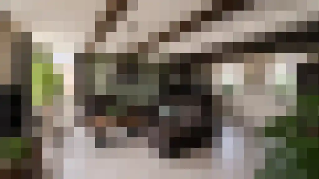 Molenstraat 6 Kinderdijk thumbnail 5