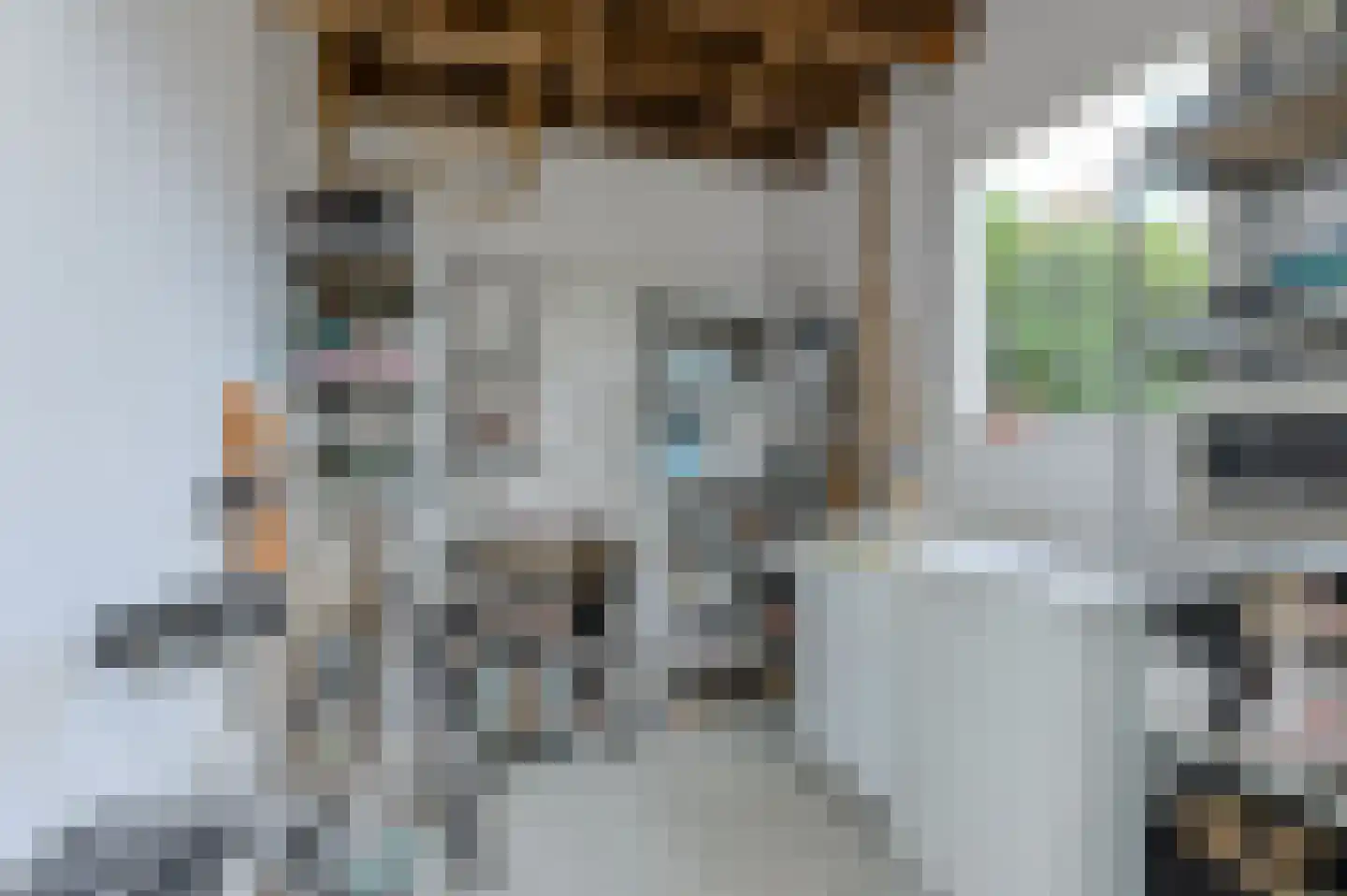Molenstraat 6 Oosterhout thumbnail 41