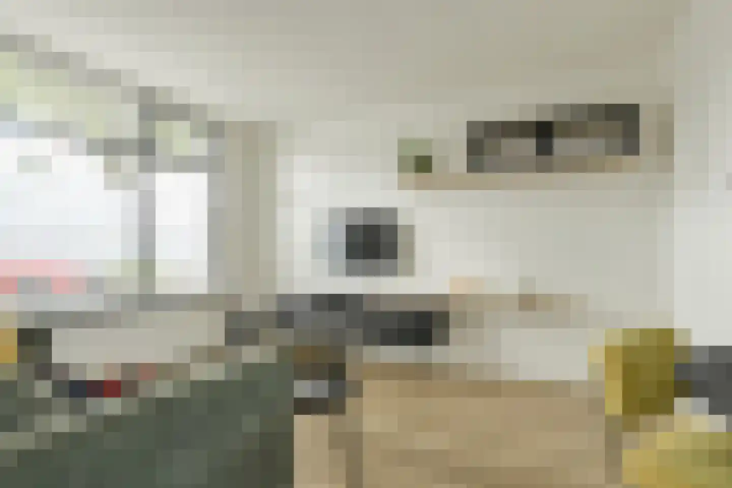Molenstraat 6 Oosterhout thumbnail 6