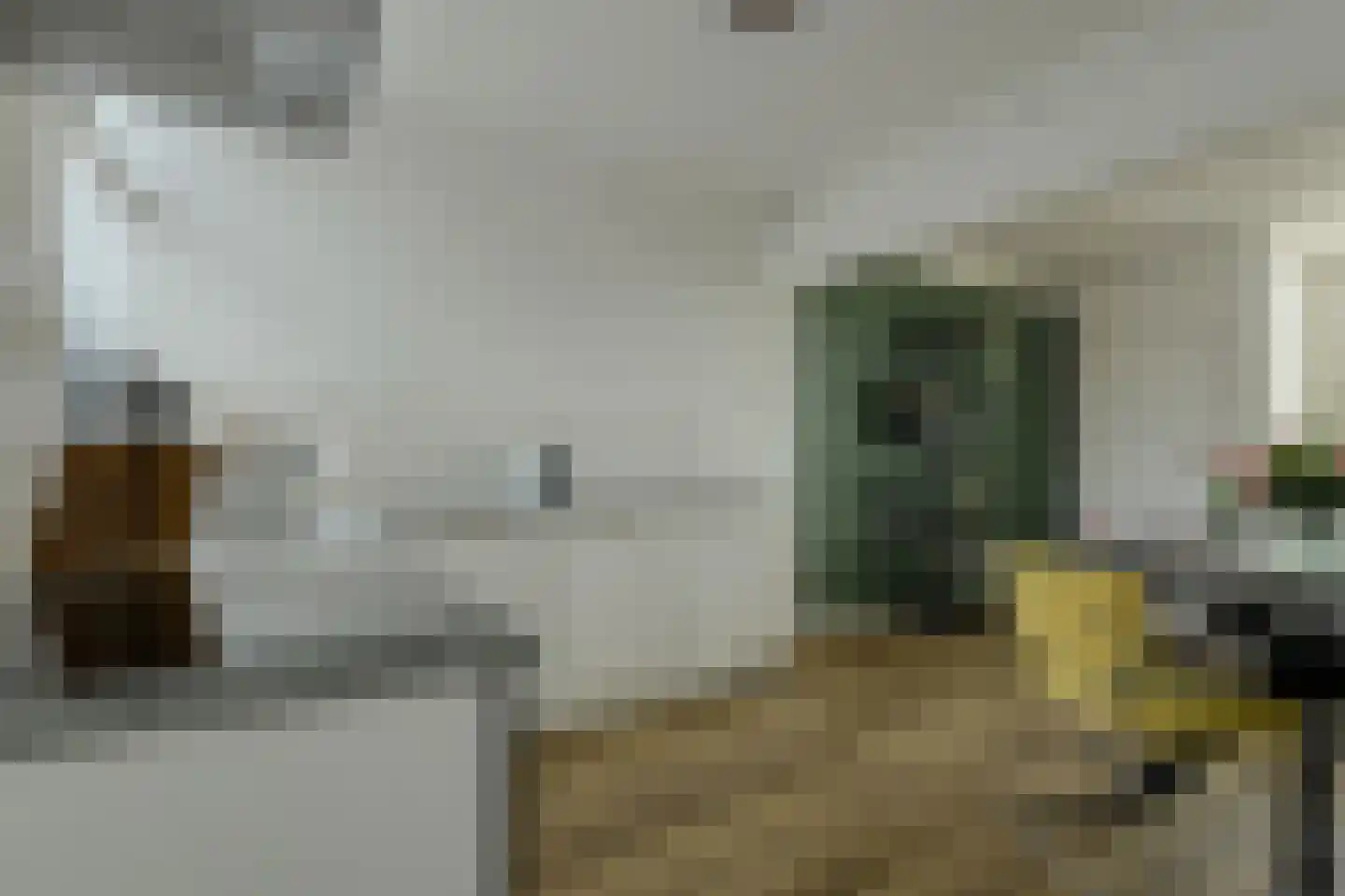 Molenstraat 6 Oosterhout thumbnail 9