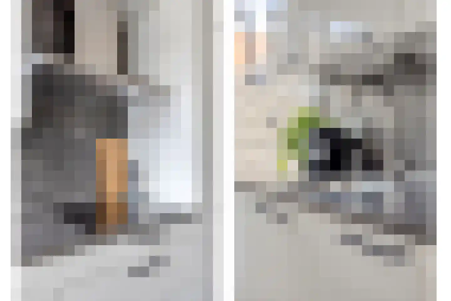 Molenstraat 6 Oud-Vossemeer thumbnail 14