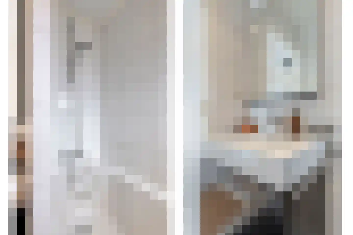 Molenstraat 6 Oud-Vossemeer thumbnail 23