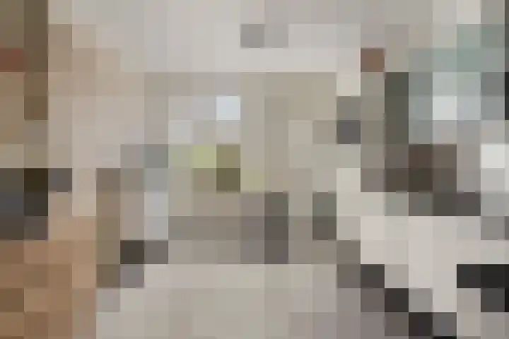 Molenstraat 6 Sint-Maartensdijk thumbnail 12
