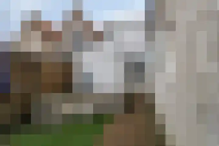 Molenstraat 6 Sint-Maartensdijk thumbnail 27