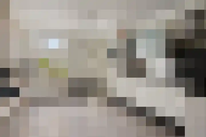 Molenstraat 6 Sint-Maartensdijk thumbnail 4