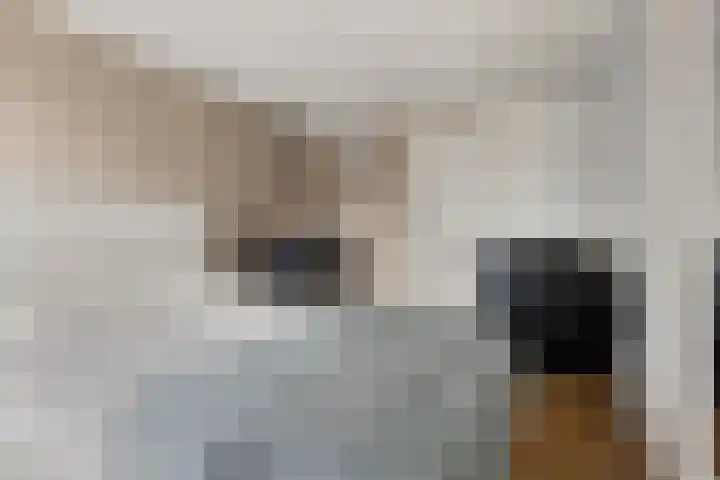 Molenstraat 6 Sint-Maartensdijk thumbnail 5