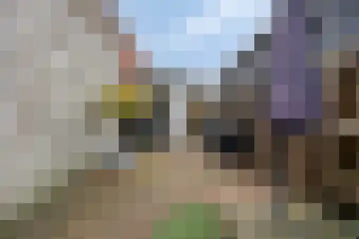 Molenstraat 6 Sint-Maartensdijk thumbnail 6