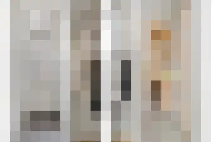 Molenstraat 6 Sint-Maartensdijk thumbnail 7