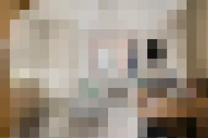 Molenstraat 6 Sint-Maartensdijk thumbnail 9