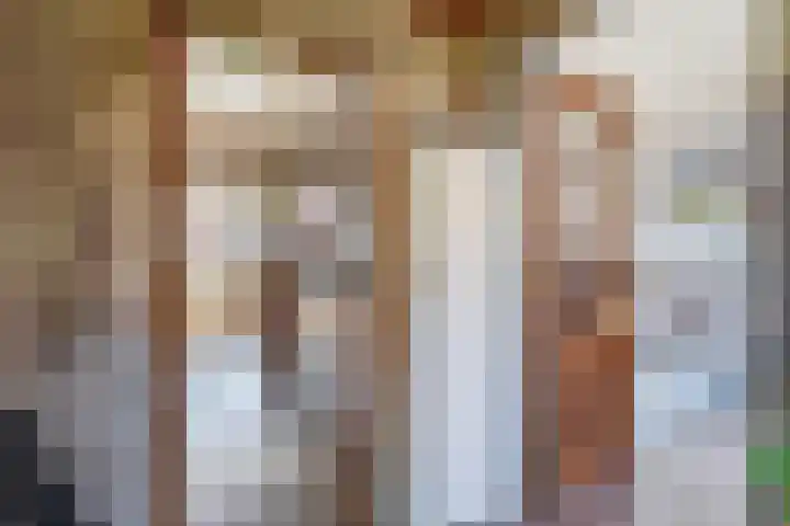 Molenstraat 6 Spijkenisse thumbnail 12