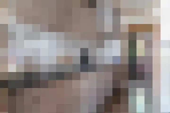 Molenstraat 6 Spijkenisse thumbnail 18