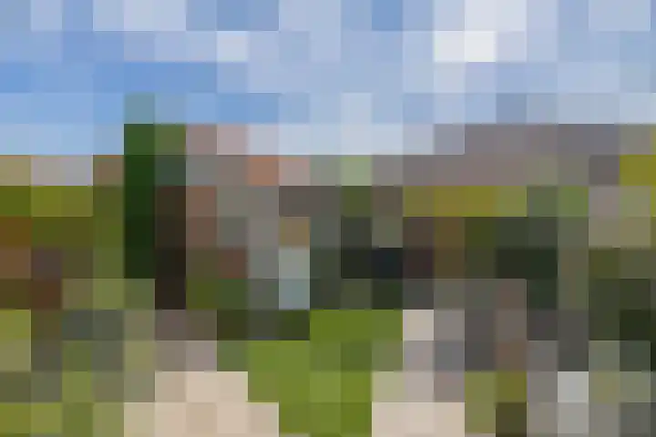 Molenstraat 6 Spijkenisse thumbnail 34