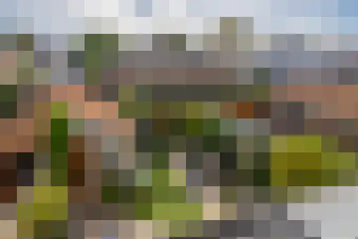 Molenstraat 6 Spijkenisse thumbnail 37