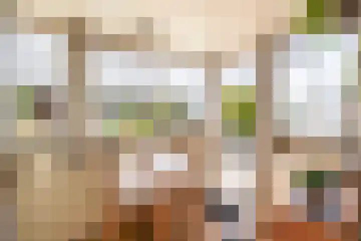 Molenstraat 6 Spijkenisse thumbnail 4