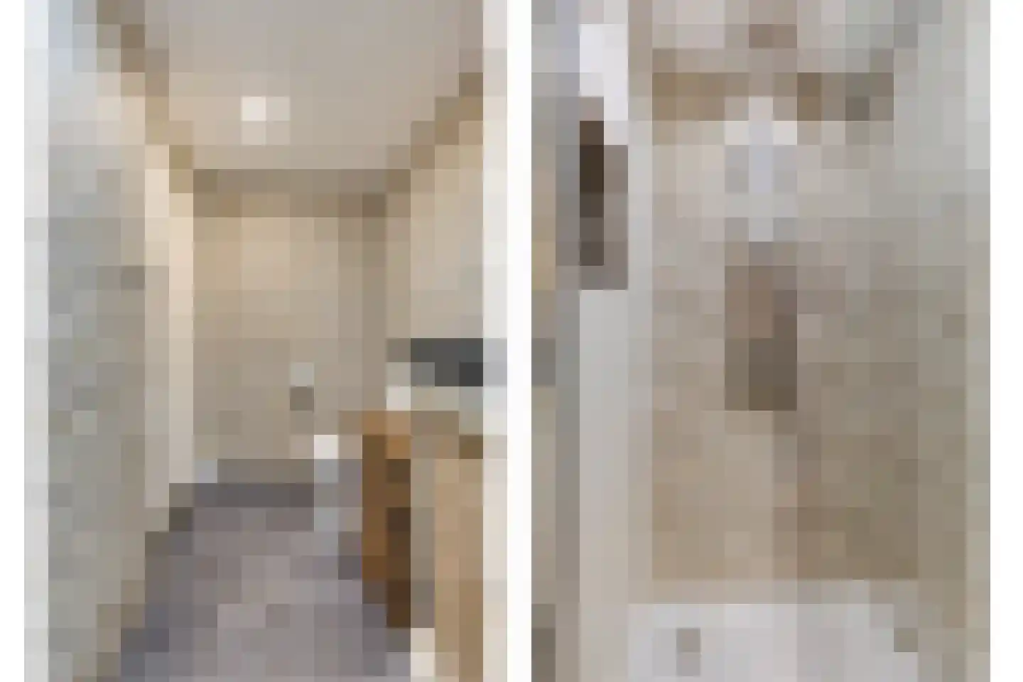 Molenstraat 6 Standdaarbuiten thumbnail 11