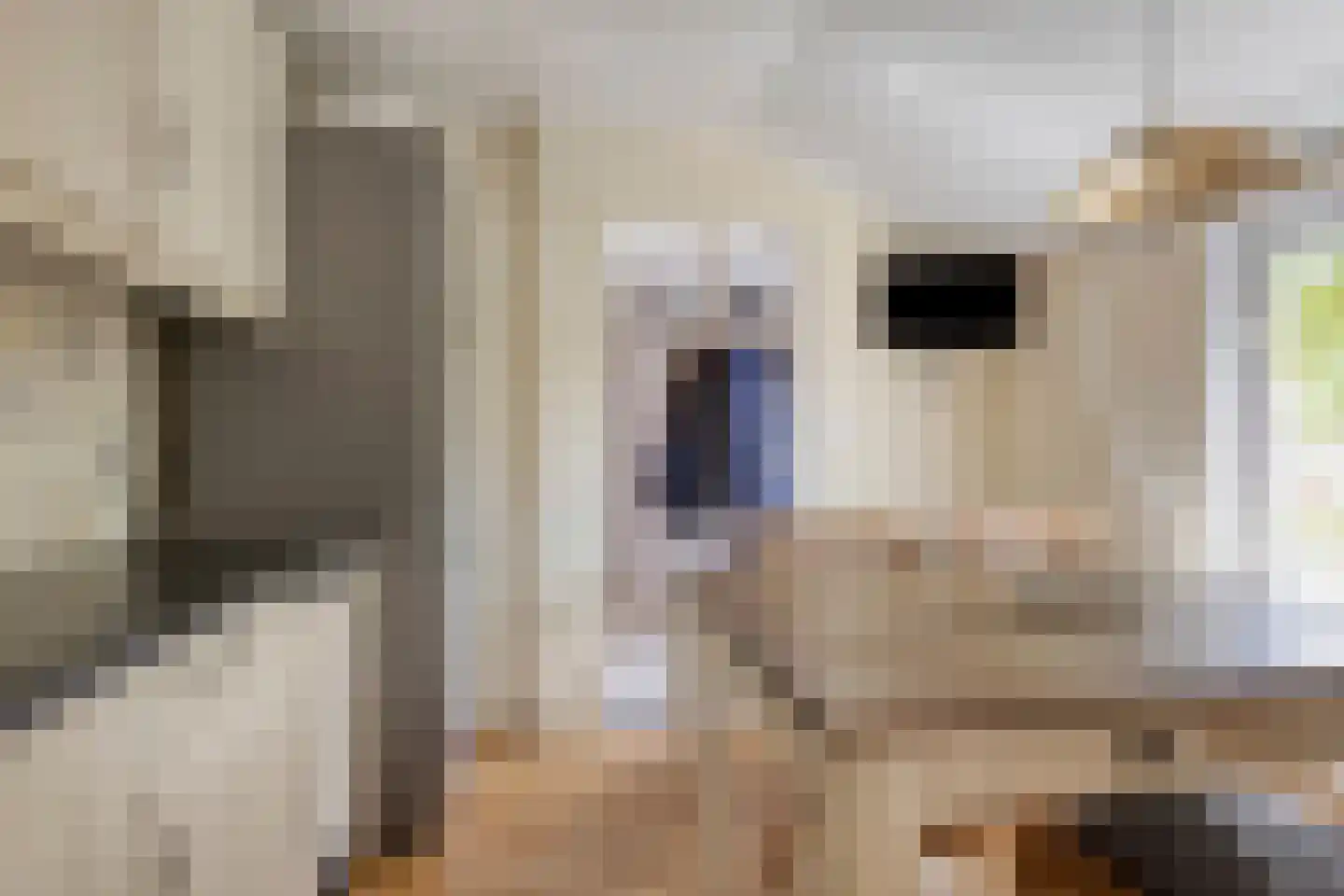 Molenstraat 6 Standdaarbuiten thumbnail 14
