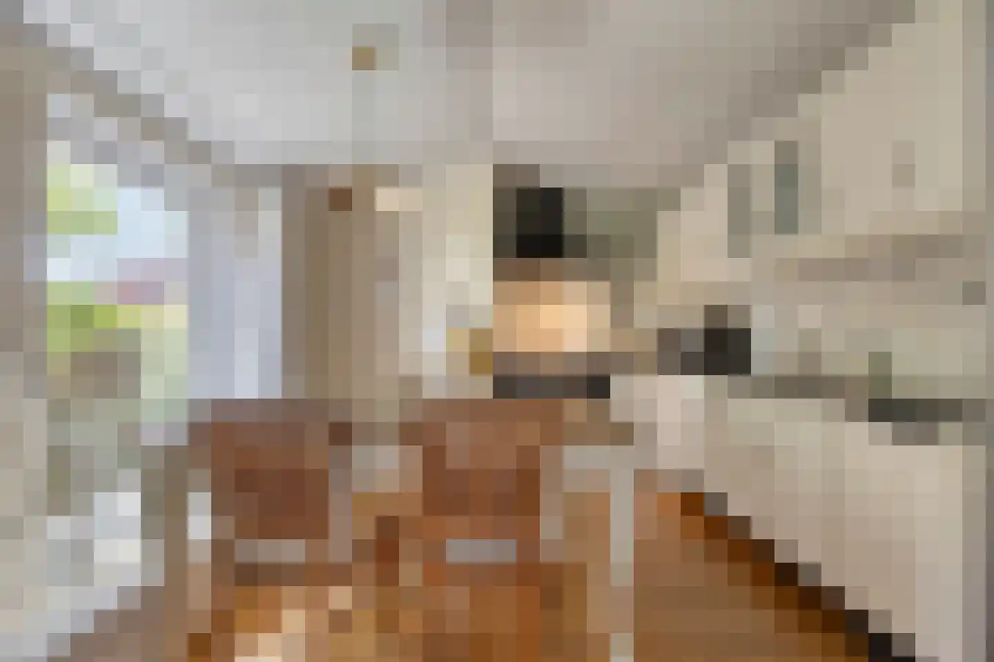Molenstraat 6 Standdaarbuiten thumbnail 15