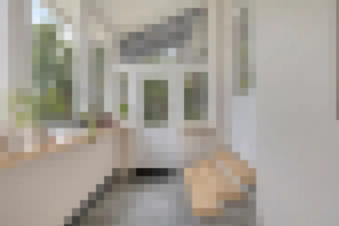 Molenstraat 6 Standdaarbuiten thumbnail 31