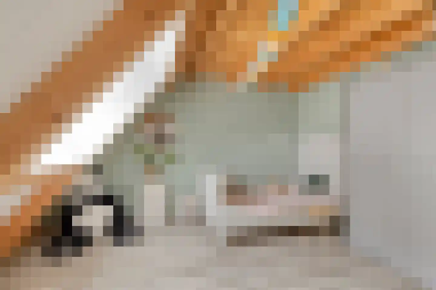 Molenstraat 6 Standdaarbuiten thumbnail 32