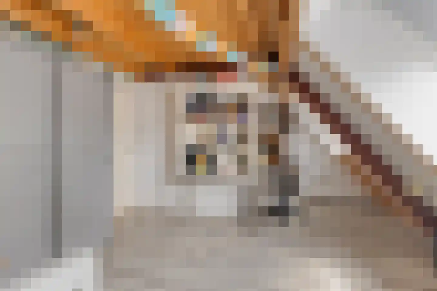 Molenstraat 6 Standdaarbuiten thumbnail 33