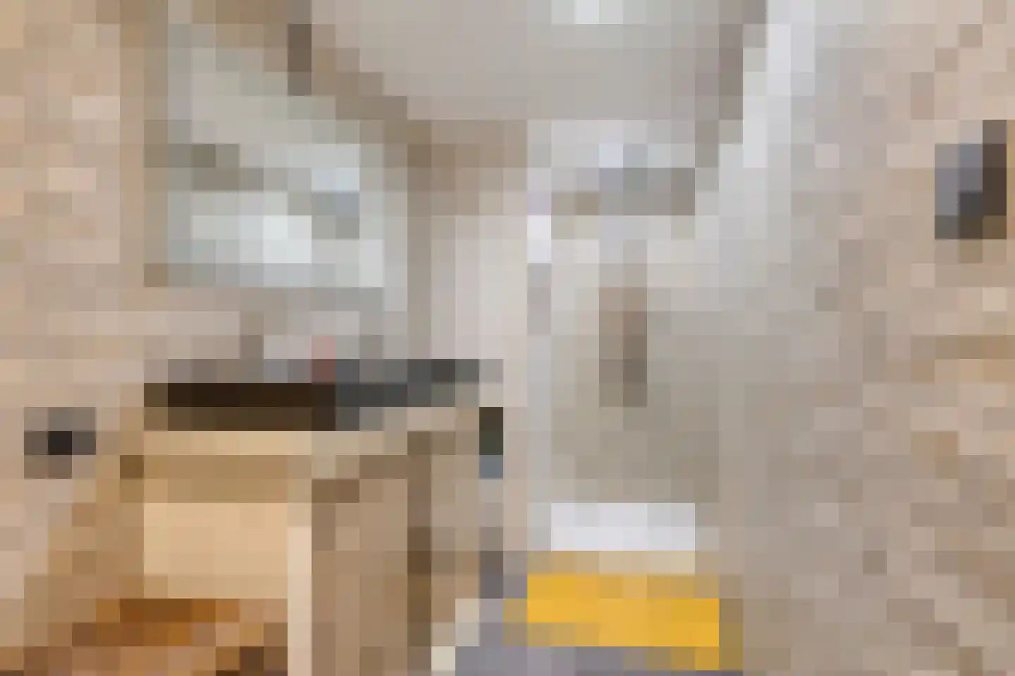 Molenstraat 6 Standdaarbuiten thumbnail 35