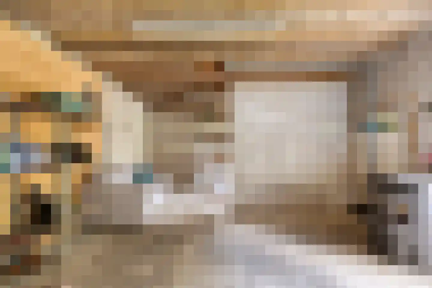 Molenstraat 6 Standdaarbuiten thumbnail 45