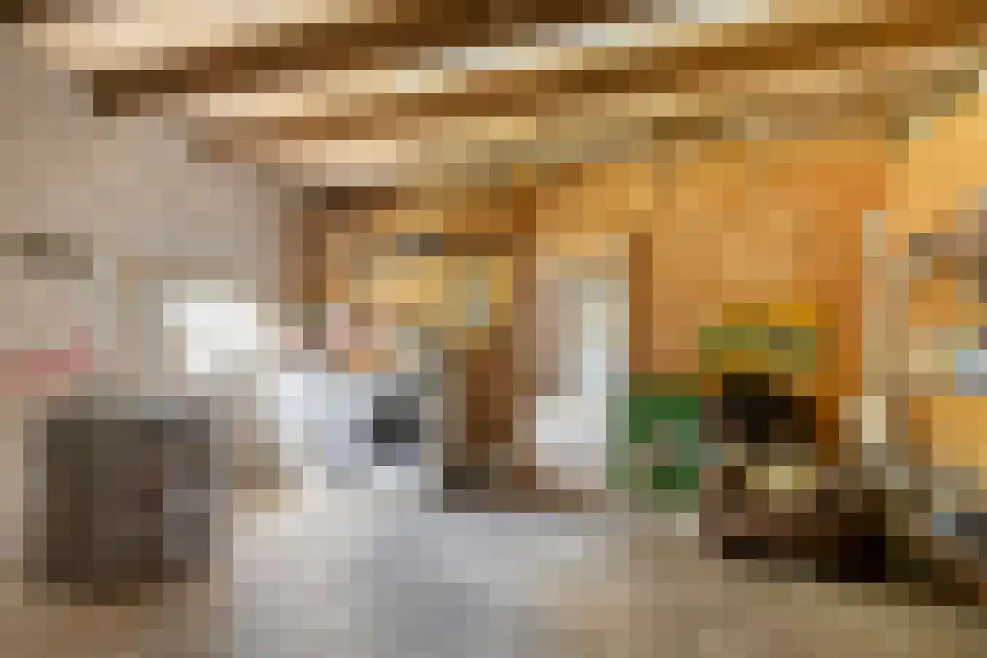 Molenstraat 6 Standdaarbuiten thumbnail 46