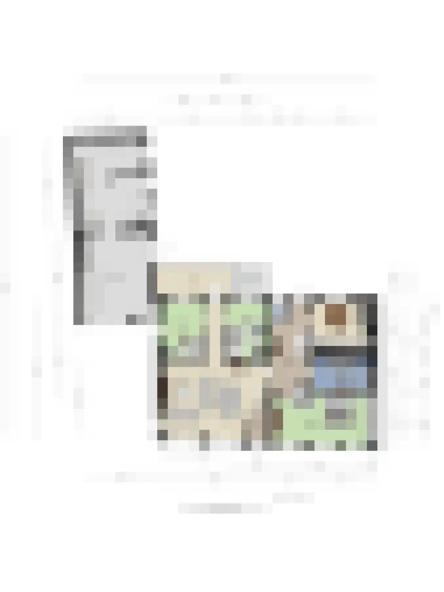 Molenstraat 6 Standdaarbuiten thumbnail 53