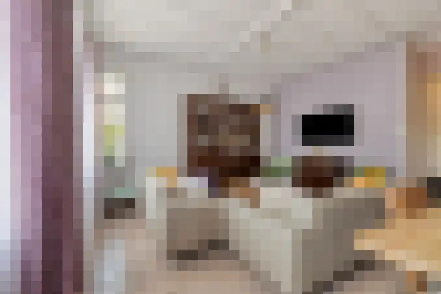 Molenstraat 6 Standdaarbuiten thumbnail 6