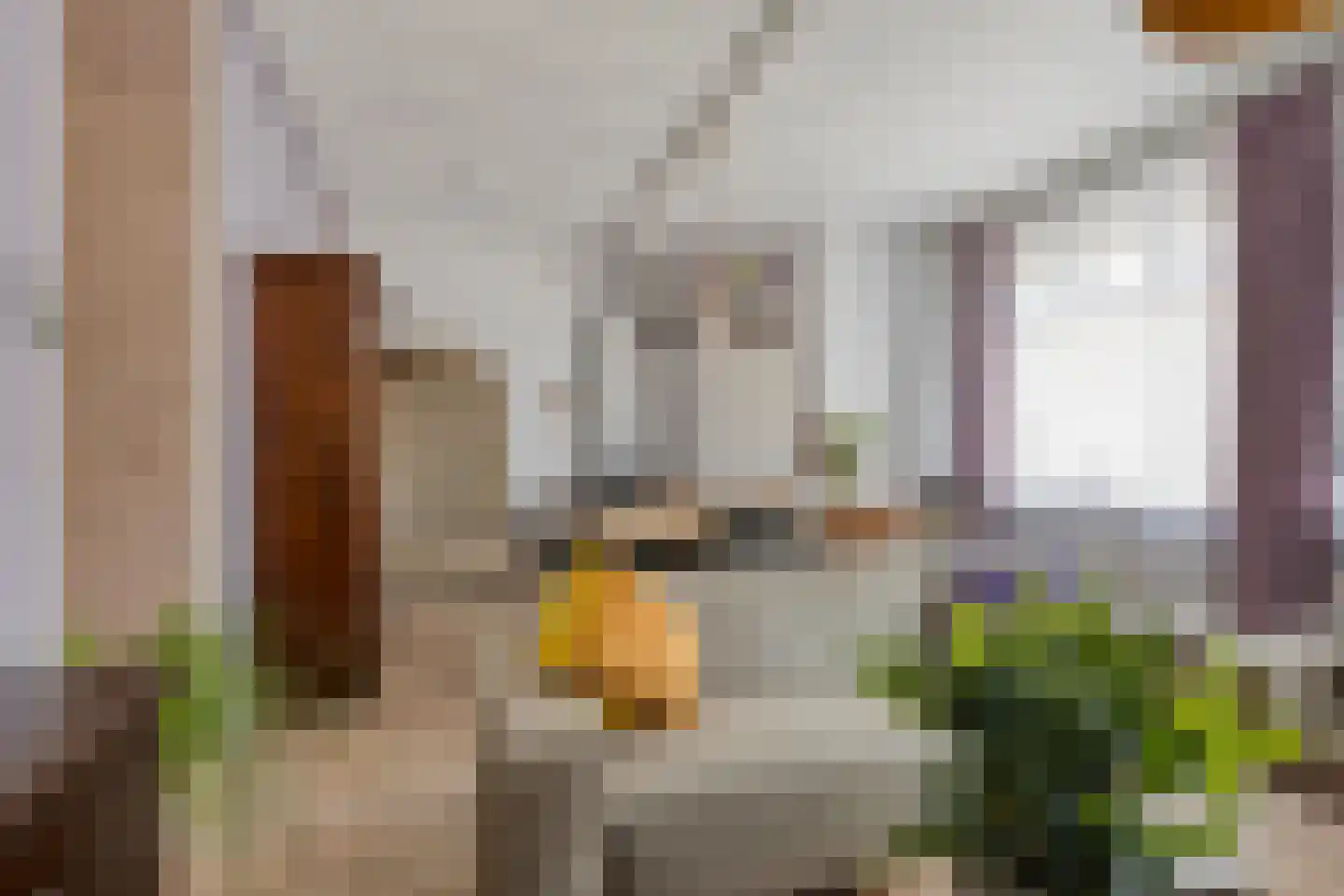 Molenstraat 6 Standdaarbuiten thumbnail 7