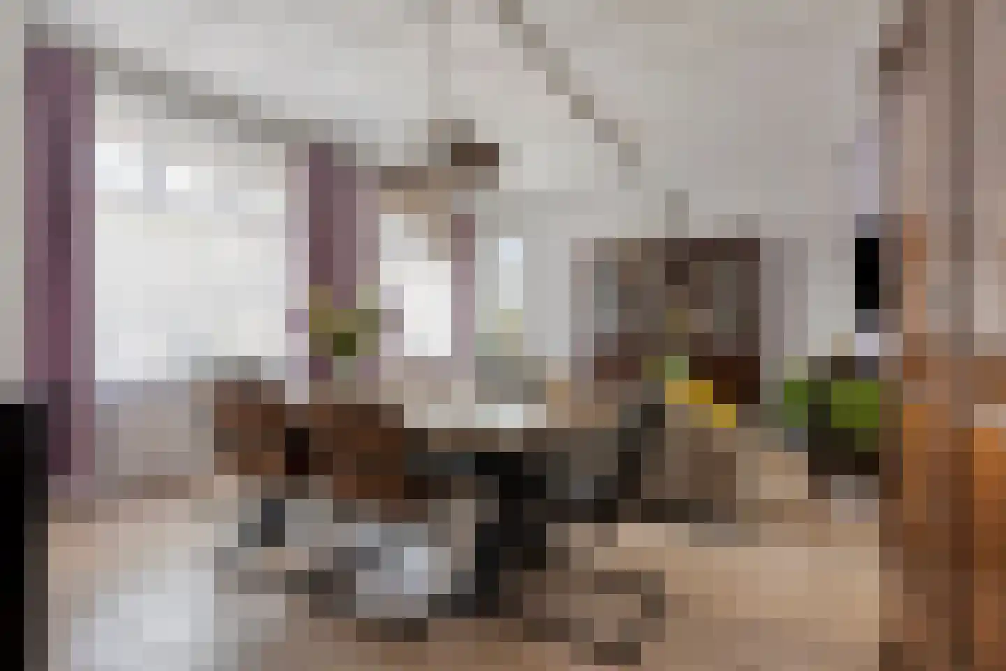 Molenstraat 6 Standdaarbuiten thumbnail 9