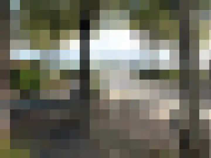 Molenstraat 6 West-Terschelling thumbnail 4