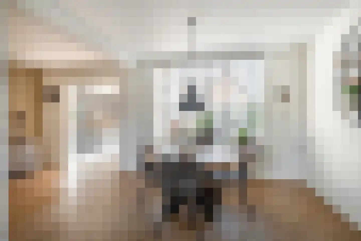 Molenstraat 60 Losser thumbnail 10