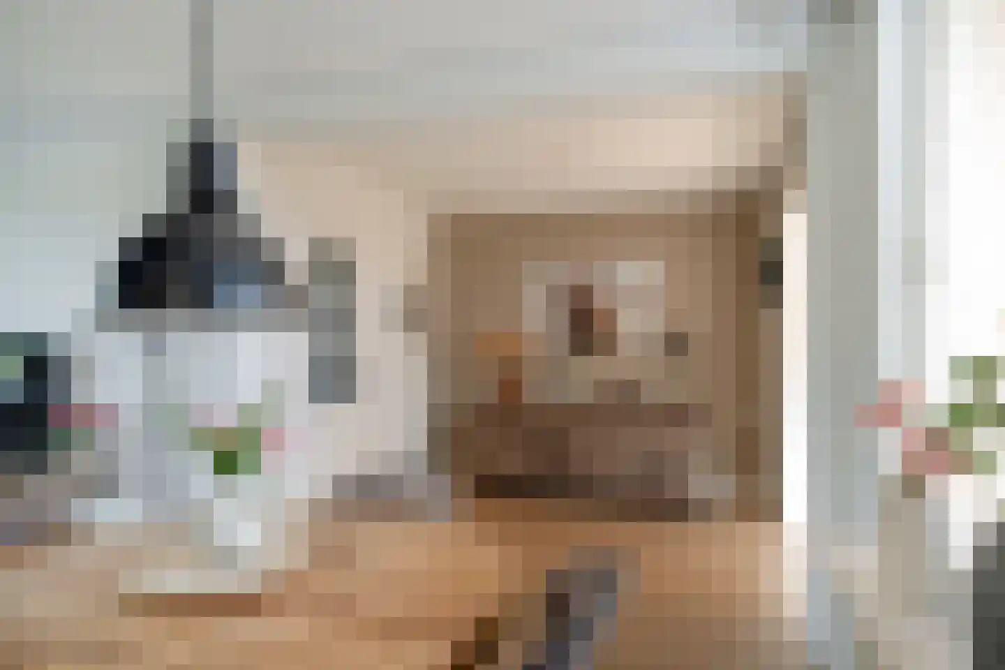 Molenstraat 60 Losser thumbnail 11