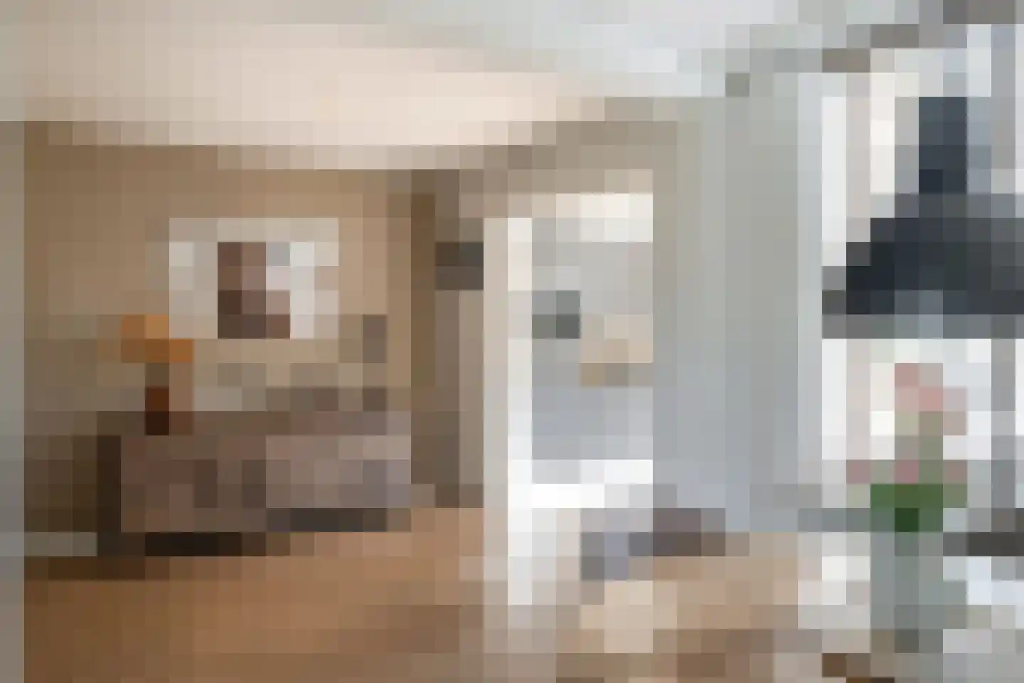 Molenstraat 60 Losser thumbnail 12