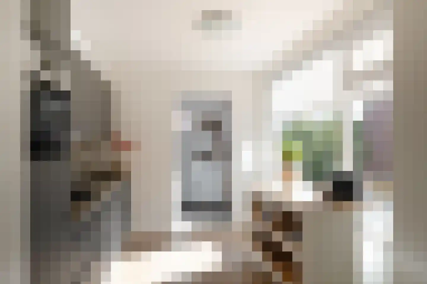 Molenstraat 60 Losser thumbnail 15