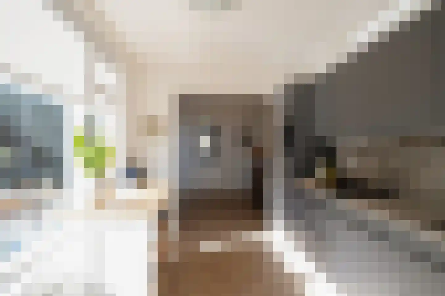 Molenstraat 60 Losser thumbnail 17