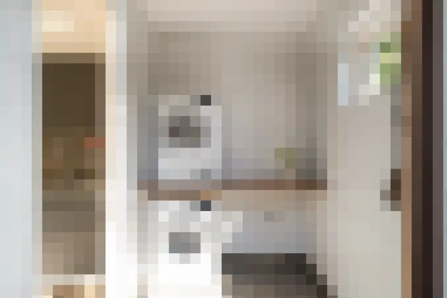 Molenstraat 60 Losser thumbnail 18